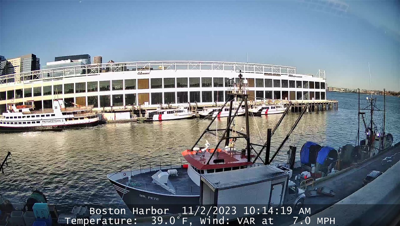 Live Cam Boston Harbor